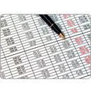 Escape from Spreadsheets