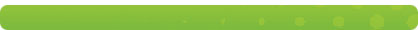 QuickBooks Pro 2010 - Screenshot & Box